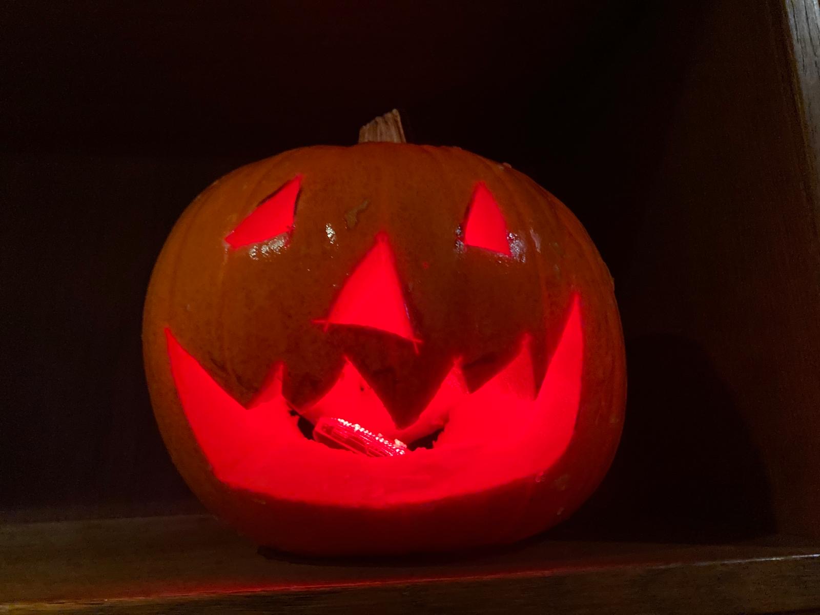 Groep 3 met de klas de boer op!