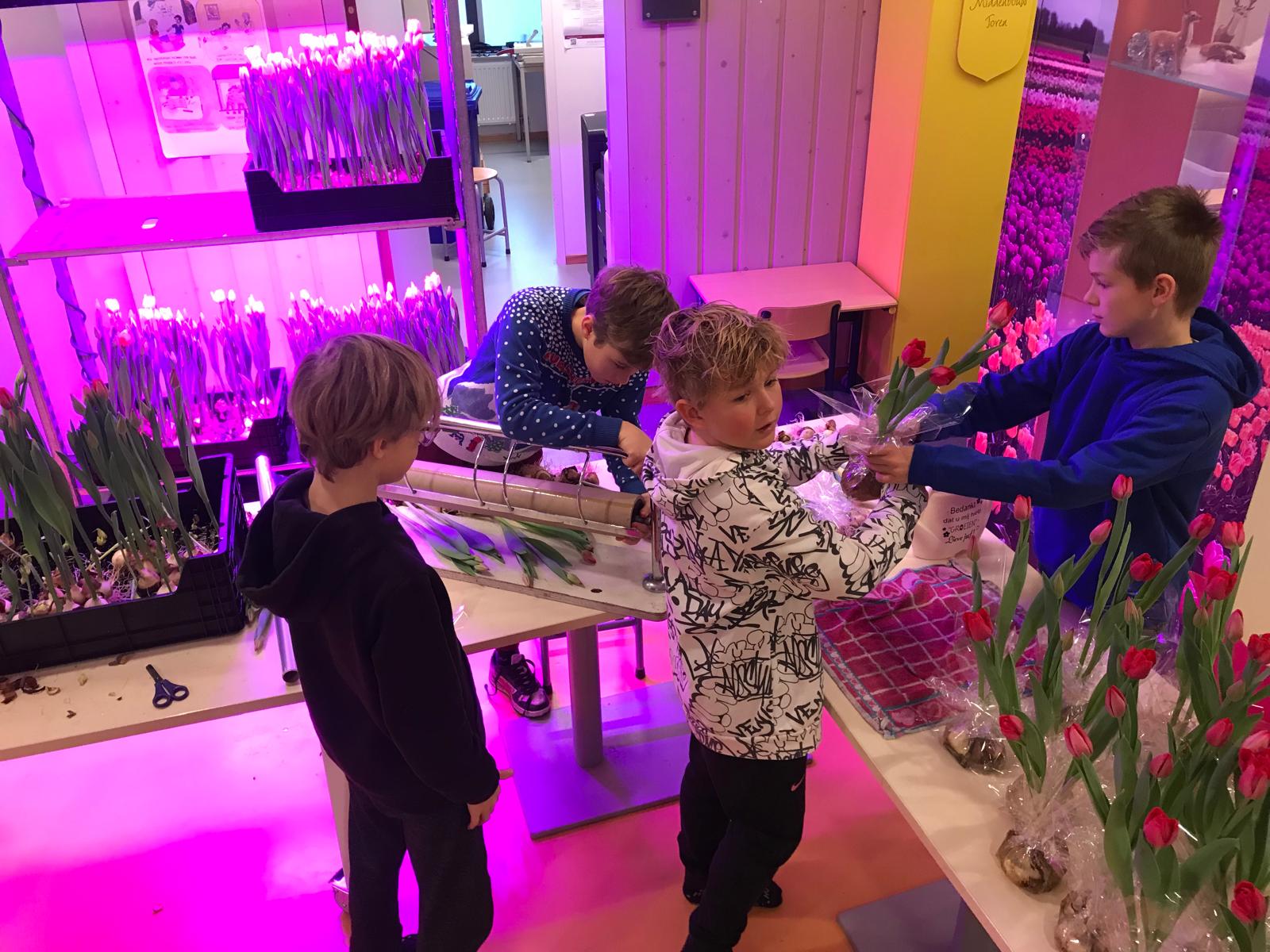 Druk met de tuinbouwbattle!