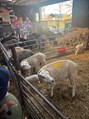IMG_4043