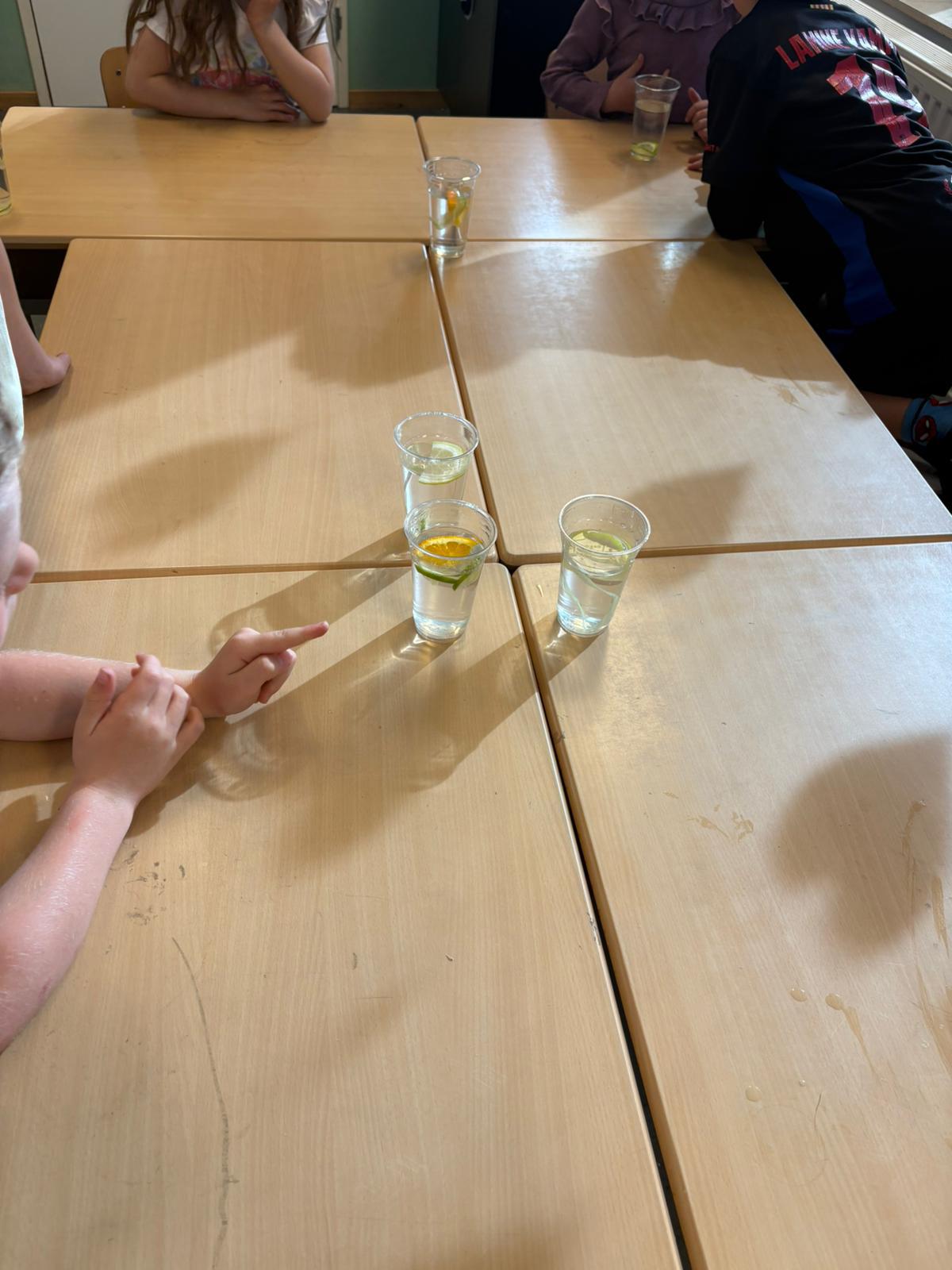 Afsluiting thema: Weet wat je eet!