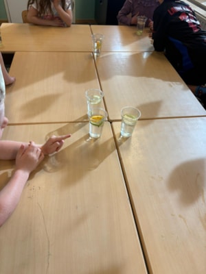 9d0cf889-f4b4-44a3-9b05-fd2ebedff146