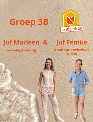 Groep 3b